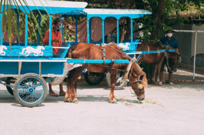 ベトナムの馬車